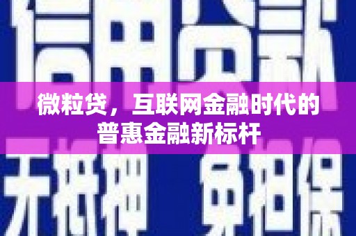 康平微粒贷，互联网金融时代的普惠金融新标杆