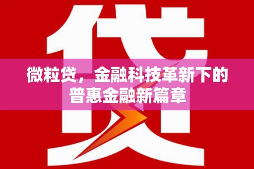 康平微粒贷，金融科技革新下的普惠金融新篇章