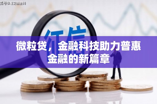 射洪微粒贷，金融科技助力普惠金融的新篇章