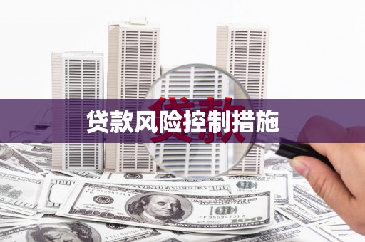高唐贷款风险控制措施