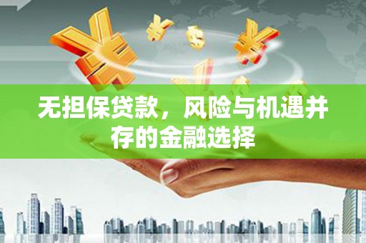 盐源无担保贷款，风险与机遇并存的金融选择