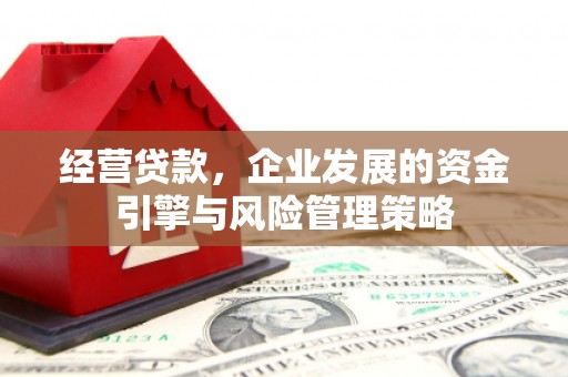 青河经营贷款，企业发展的资金引擎与风险管理策略