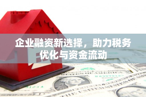 五通桥企业融资新选择，助力税务优化与资金流动