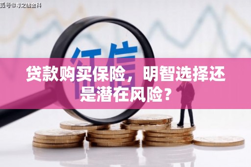 南谯贷款购买保险，明智选择还是潜在风险？