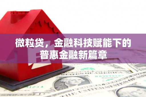 云县微粒贷，金融科技赋能下的普惠金融新篇章