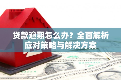 新会贷款逾期怎么办？全面解析应对策略与解决方案