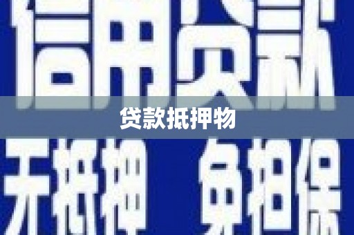 斗南贷款抵押物