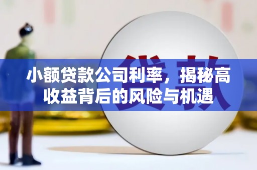 芗城小额贷款公司利率，揭秘高收益背后的风险与机遇