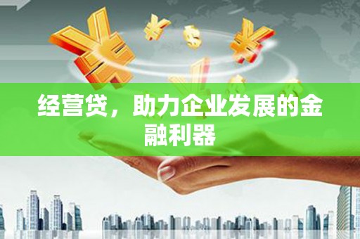 河南经营贷，助力企业发展的金融利器