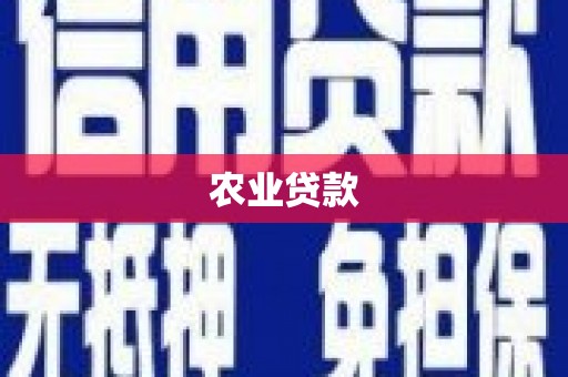 河南农业贷款