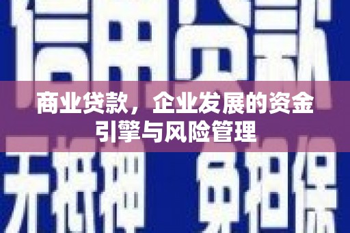 五营商业贷款，企业发展的资金引擎与风险管理