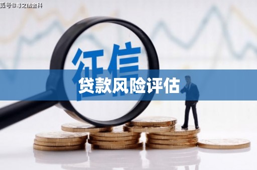 邳州贷款风险评估