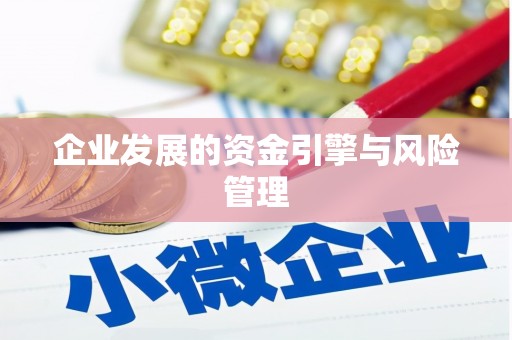 邳州企业发展的资金引擎与风险管理