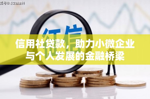 通城信用社贷款，助力小微企业与个人发展的金融桥梁