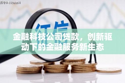 管城金融科技公司贷款，创新驱动下的金融服务新生态