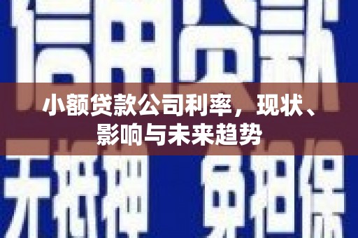 皇姑小额贷款公司利率，现状、影响与未来趋势