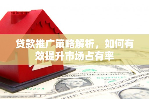 长涂贷款推广策略解析，如何有效提升市场占有率