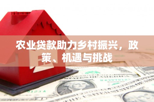 舞钢农业贷款助力乡村振兴，政策、机遇与挑战