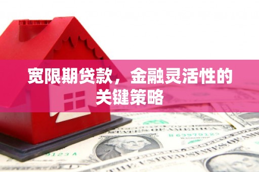 舞钢宽限期贷款，金融灵活性的关键策略