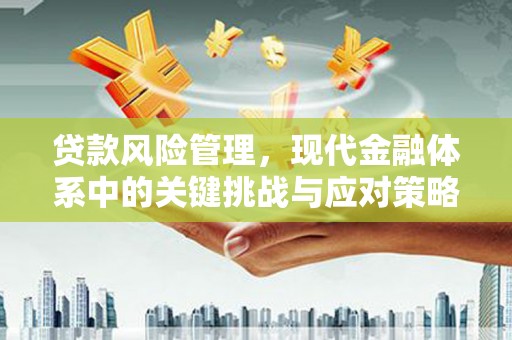 望江贷款风险管理，现代金融体系中的关键挑战与应对策略