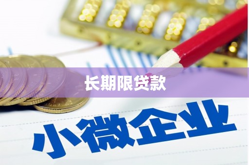 武冈长期限贷款