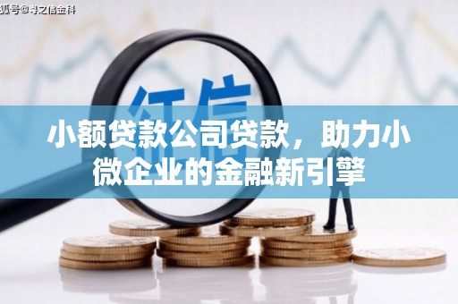 武冈小额贷款公司贷款，助力小微企业的金融新引擎