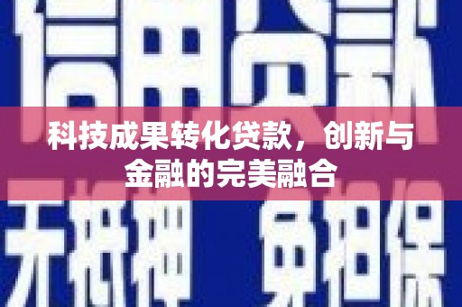 新田科技成果转化贷款，创新与金融的完美融合