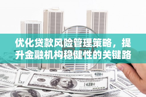 新田优化贷款风险管理策略，提升金融机构稳健性的关键路径