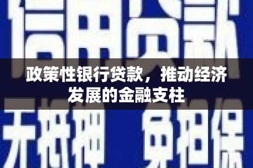 滑县政策性银行贷款，推动经济发展的金融支柱