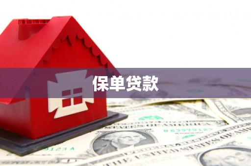 衡山保单贷款