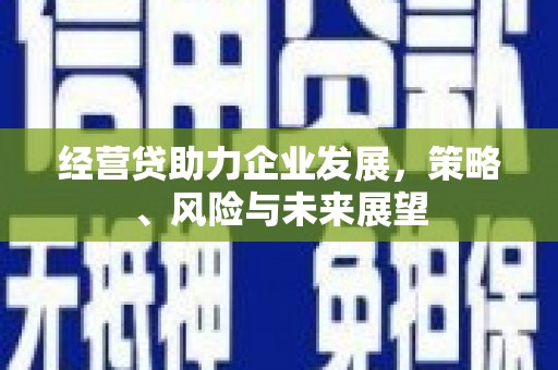 马边经营贷助力企业发展，策略、风险与未来展望