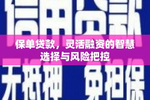圣方济各堂区保单贷款，灵活融资的智慧选择与风险把控