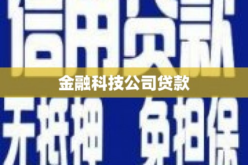 安溪金融科技公司贷款
