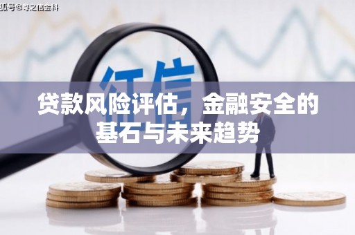 徐汇贷款风险评估，金融安全的基石与未来趋势
