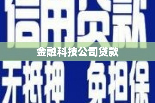陆河金融科技公司贷款