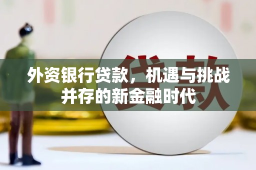 安康外资银行贷款，机遇与挑战并存的新金融时代