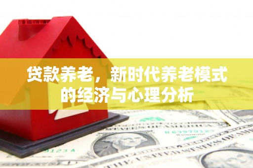 安康贷款养老，新时代养老模式的经济与心理分析