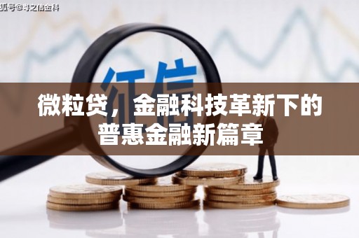 忻府微粒贷，金融科技革新下的普惠金融新篇章