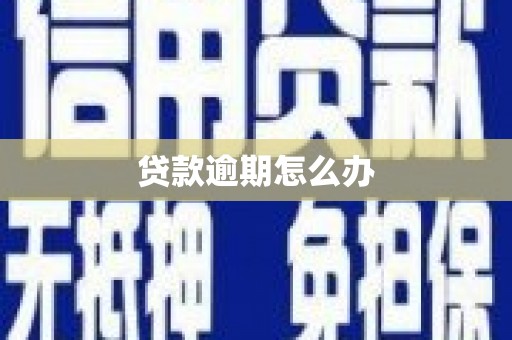 白河贷款逾期怎么办