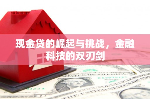 涧西现金贷的崛起与挑战，金融科技的双刃剑
