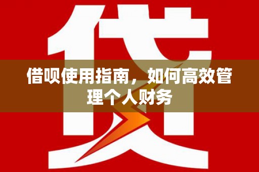 顺河借呗使用指南，如何高效管理个人财务