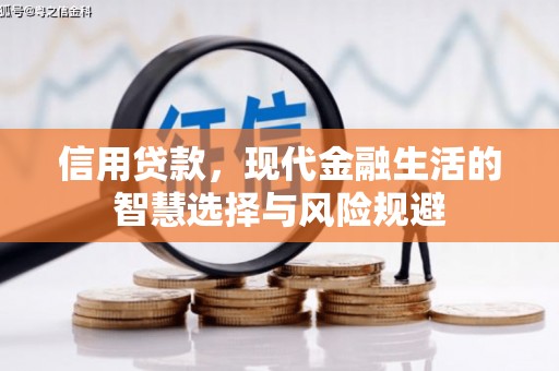 忻府信用贷款，现代金融生活的智慧选择与风险规避