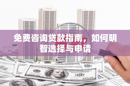 宝兴免费咨询贷款指南，如何明智选择与申请