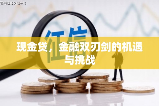 潢川现金贷，金融双刃剑的机遇与挑战