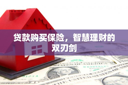 潢川贷款购买保险，智慧理财的双刃剑
