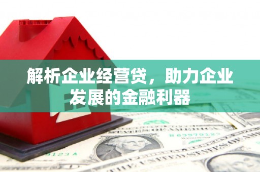 洛浦解析企业经营贷，助力企业发展的金融利器