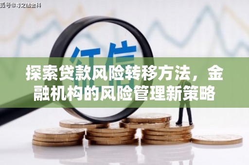 剑阁探索贷款风险转移方法，金融机构的风险管理新策略