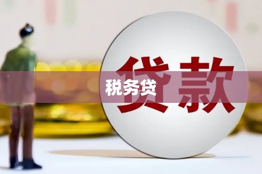 宾县税务贷