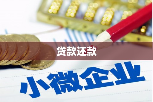 顺河贷款还款