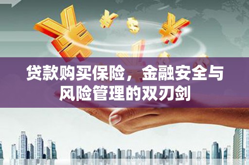 铜山贷款购买保险，金融安全与风险管理的双刃剑
